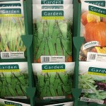 Saatgut gibt es im Supermarkt und in Baumärkten oder Gartencentern für wenige Cent. Wir haben uns einige Tütchen gekauft und ein Beet angelegt. (Foto: Markus Burgdorf)